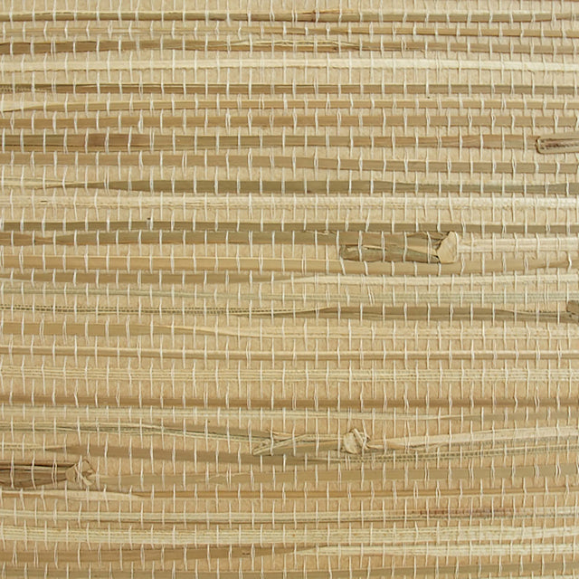 32-W6331 5128 Wallcovering - Eade's Wallpaper & Fabric