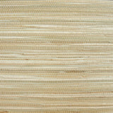 33-W8441 8109 Wallpaper