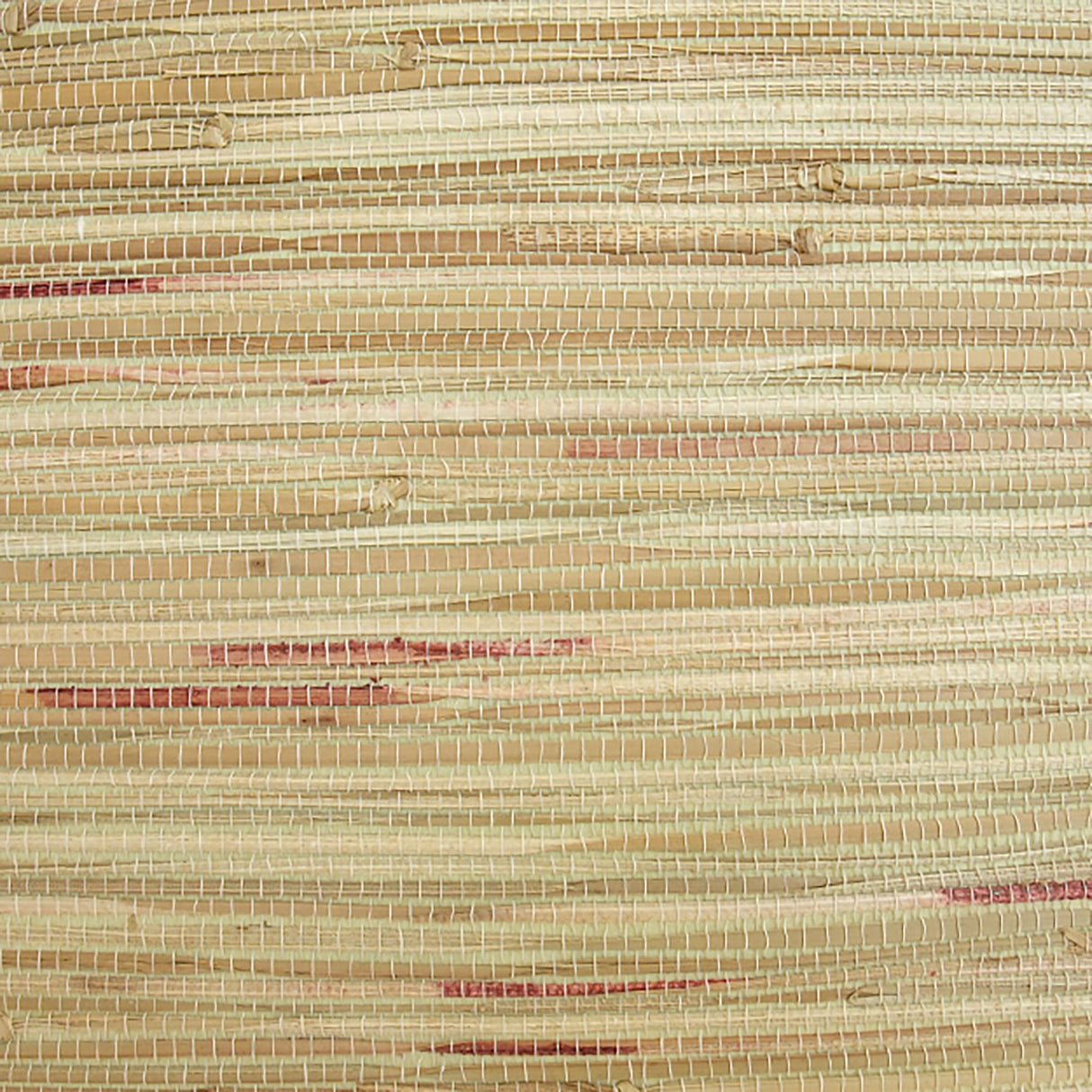  34-W6331 5129 Wallcovering - Eade's Wallpaper & Fabric