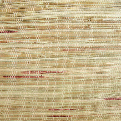  34-W6331 5129 Wallcovering - Eade's Wallpaper & Fabric