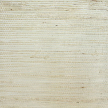 11-W6331 5131 Wallpaper