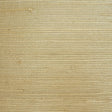  32-W6331 5131 Wallcovering - Eade's Wallpaper & Fabric