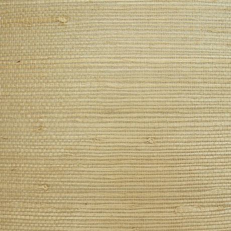  32-W6331 5131 Wallcovering - Eade's Wallpaper & Fabric