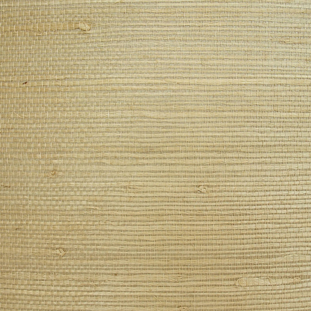  32-W6331 5131 Wallcovering - Eade's Wallpaper & Fabric