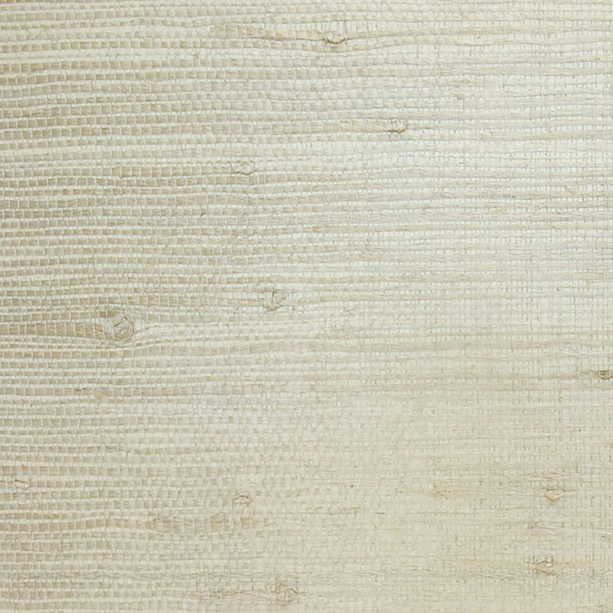  34-W6331 5131 Wallcovering - Eade's Wallpaper & Fabric