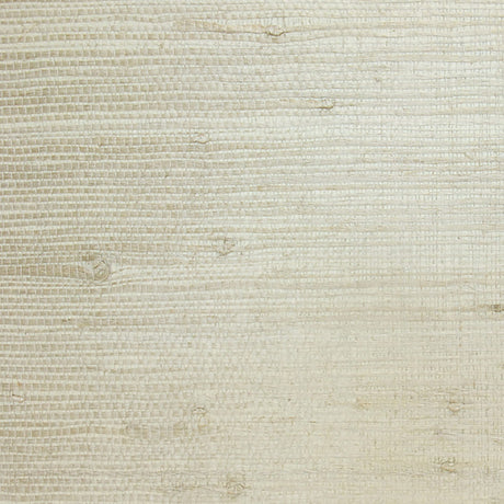  34-W6331 5131 Wallcovering - Eade's Wallpaper & Fabric