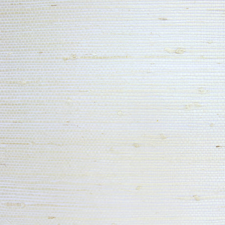  92-W6331 5131 Wallcovering - Eade's Wallpaper & Fabric