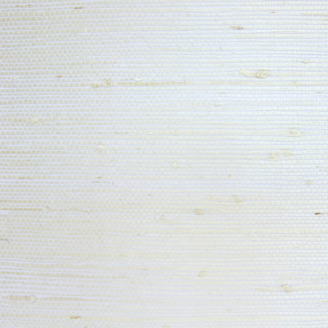  92-W6331 5131 Wallcovering - Eade's Wallpaper & Fabric
