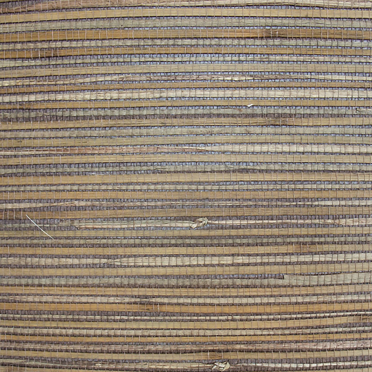  38-W6331 5133 Wallcovering - Eade's Wallpaper & Fabric