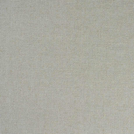 Schumacher 51340 CORSICA WEAVE in MIST Fabric - CHROMA