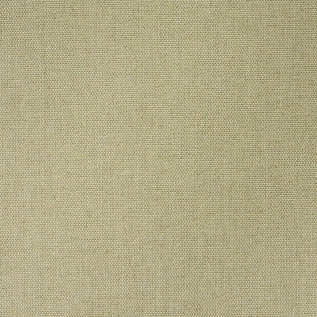 Schumacher 51344 CORSICA WEAVE in CELADON Fabric - OPULENT T