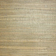  73-W6331 5135 Wallcovering - Eade's Wallpaper & Fabric