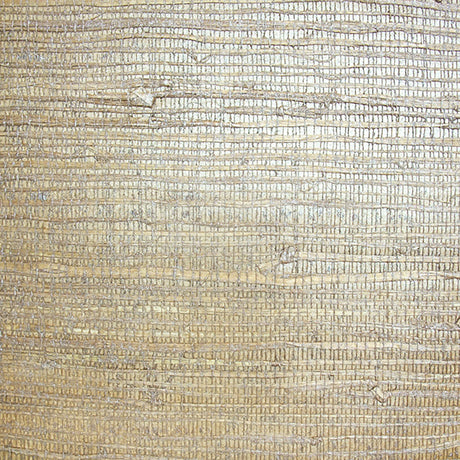  34-W6331 5142 Wallcovering - Eade's Wallpaper & Fabric