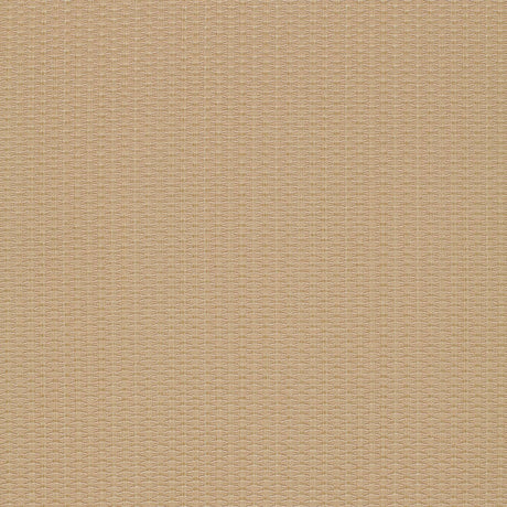 Eade’s BEIGE
