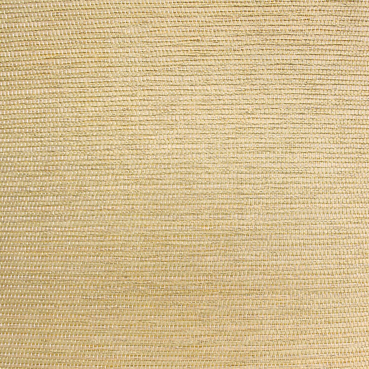  13-W6331 5150 Wallcovering - Eade's Wallpaper & Fabric