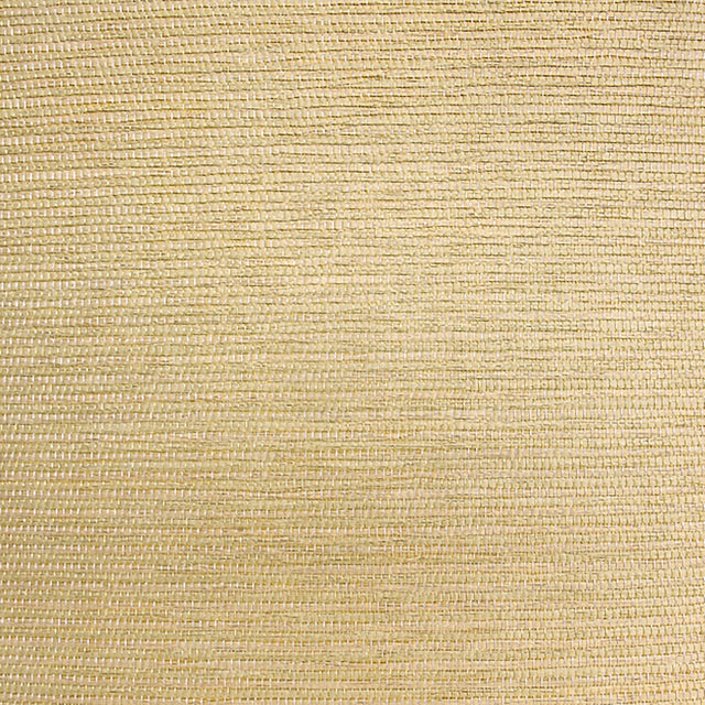  13-W6331 5150 Wallcovering - Eade's Wallpaper & Fabric