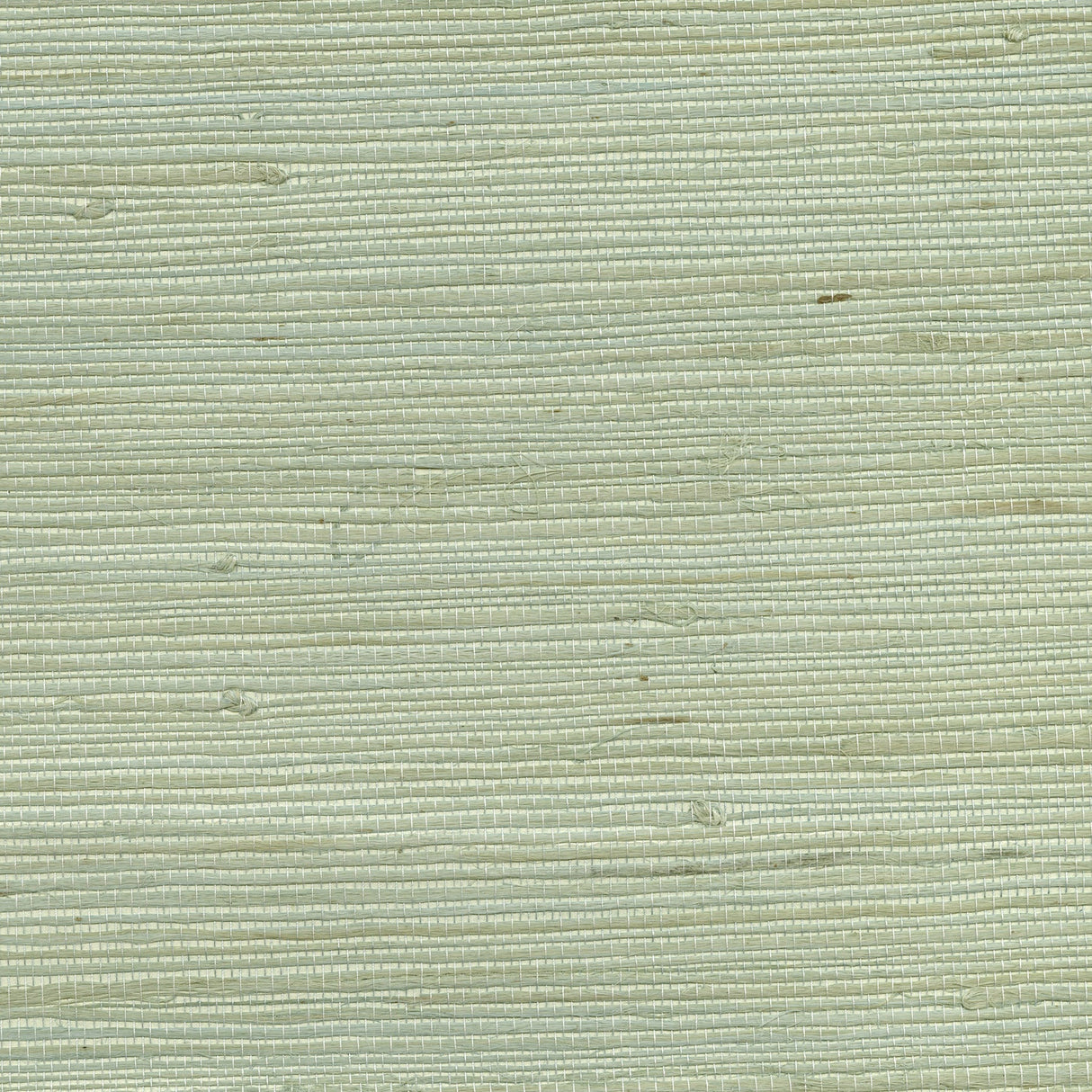 Kenneth James 53-65609 Kiyoshi Light Green Grasscloth Wallpaper