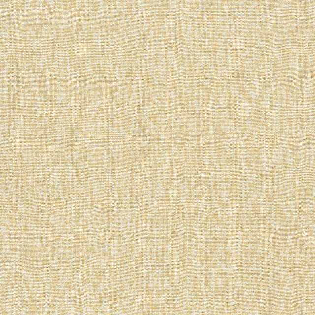  12-W8251 5301 Wallcovering - Eade's Wallpaper & Fabric
