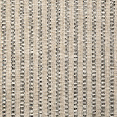 Pindler DRITTON SHALE 5310 Fabric - Fabric Collection