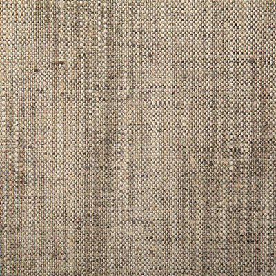 Pindler DRINA PEBBLE 5313 Fabric - Fabric Collection