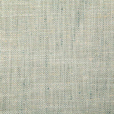 Pindler DRINA SPA 5313 Fabric - Fabric Collection