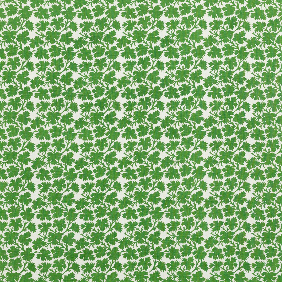 Schumacher 533N19 CLIVE in ELEPHANT LEAF Fabric - RAOUL TEXT