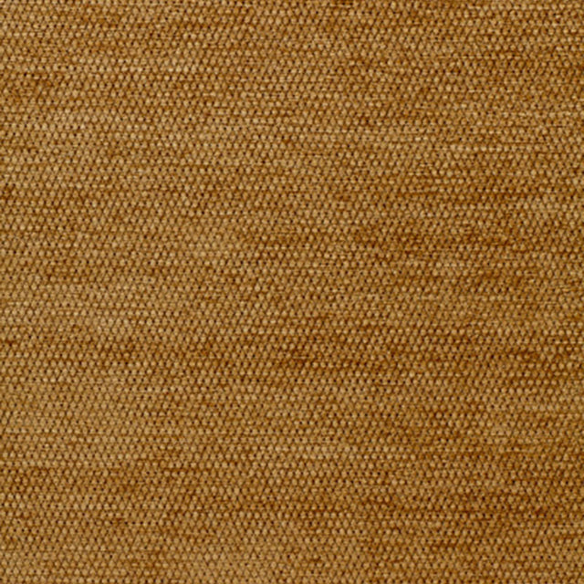 Schumacher 54712 LIA in COIN Fabric - LUXURY CHENILLE