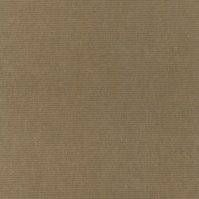 Schumacher 54885 CHIAROSCURO VELVET in MINK Fabric - PERFECT