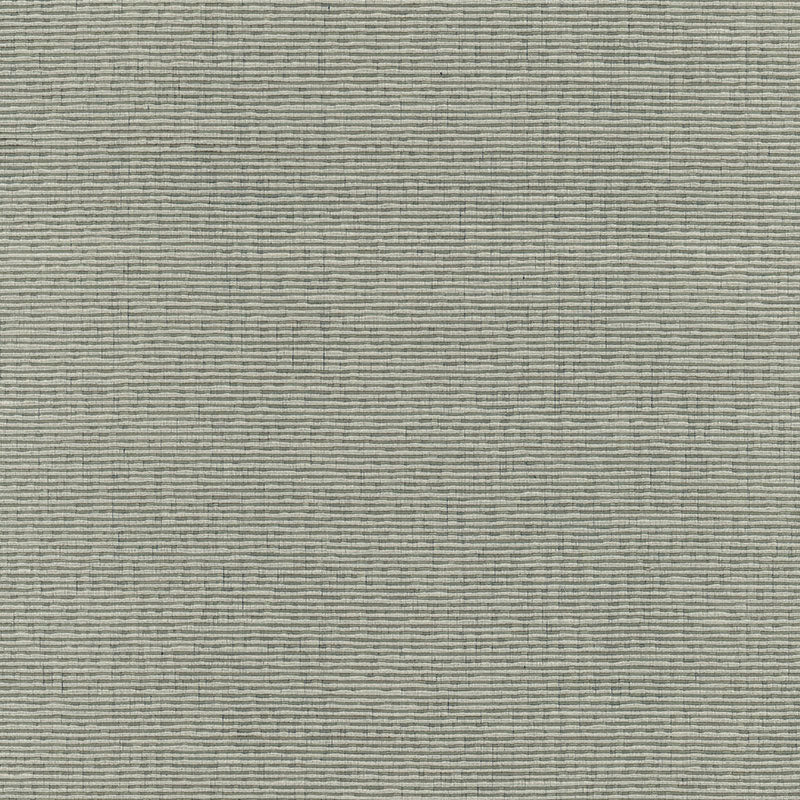 Schumacher Delacroix Silk Ottoman Nickel Fabric