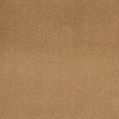 Schumacher 55282 COTTON CLUB VELVET in FAWN Fabric - PERFECT