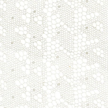 Schumacher 55490 TRACERY LACE SHEER in SILVER Fabric - Colle