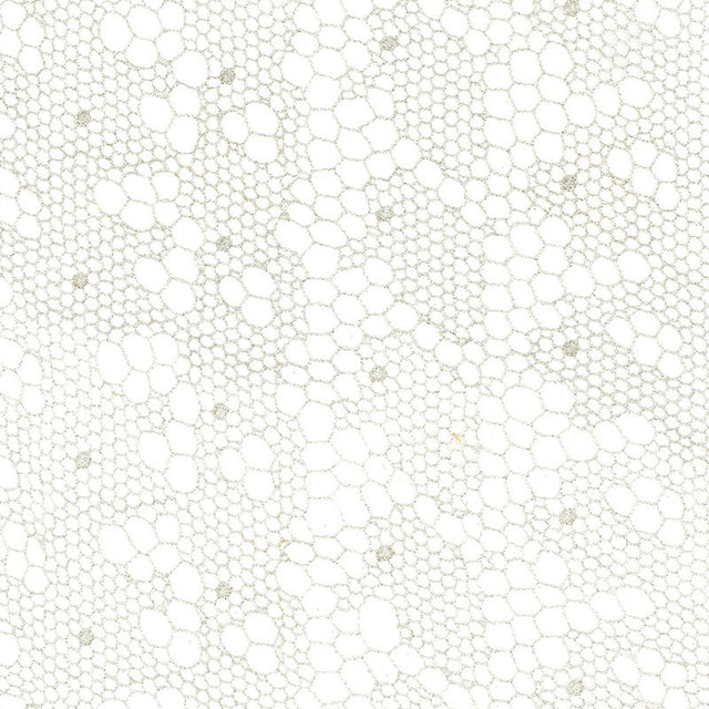 Schumacher 55490 TRACERY LACE SHEER in SILVER Fabric - Colle
