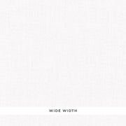 Schumacher 55820 EMILIA SHEER in IVORY Fabric - PERFECT BASI