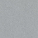 Galerie 58427 Silver Grey Branches - Eade's Wallpaper