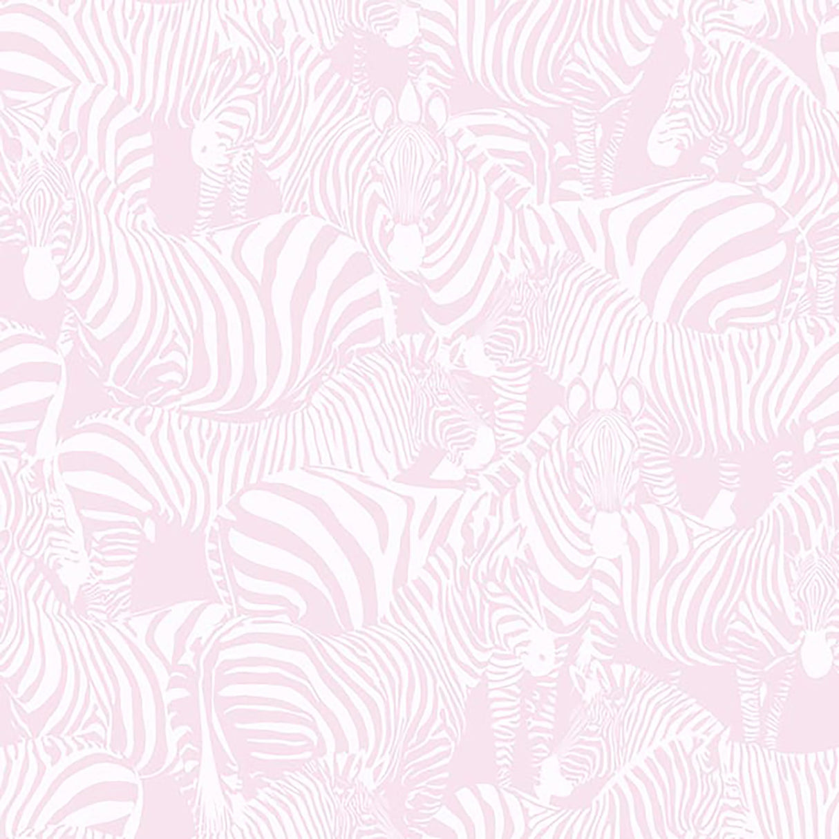  43-W7231 6000 Wallcovering - Eade's Wallpaper & Fabric