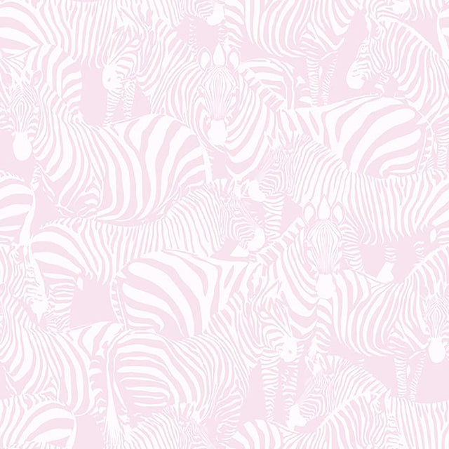  43-W7231 6000 Wallcovering - Eade's Wallpaper & Fabric