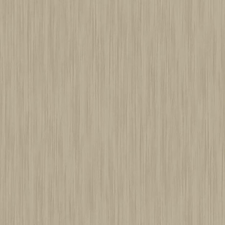  34-W7241 6038 Wallcovering - Eade's Wallpaper & Fabric