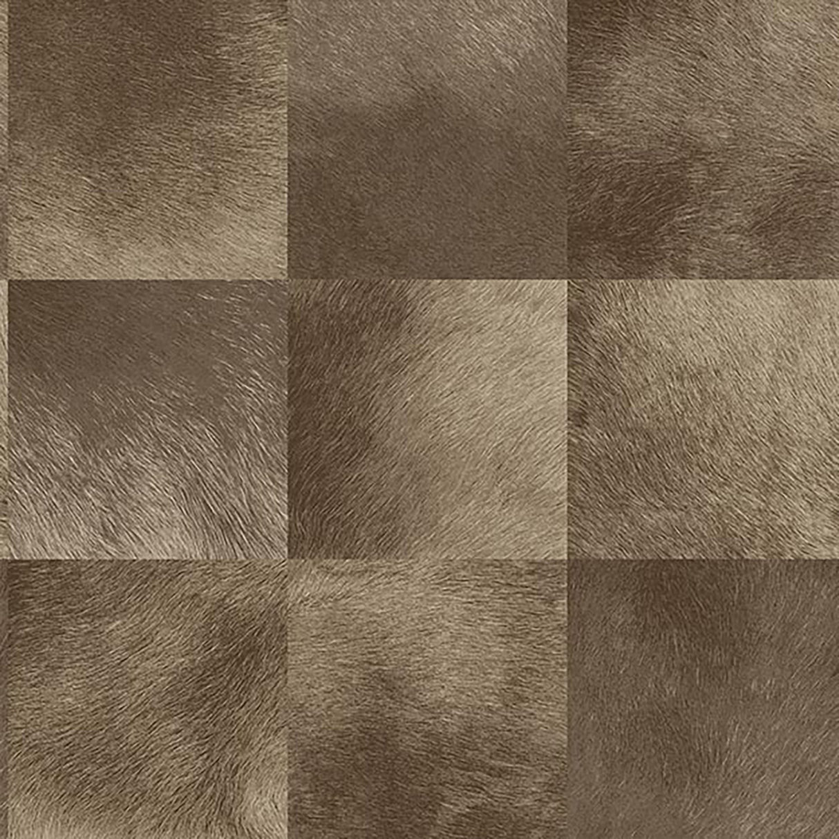  36-W7241 6051 Wallcovering - Eade's Wallpaper & Fabric