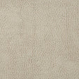 Pindler BUCKAROO BEIGE 6139 Fabric - Fabric Collection