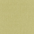 Schumacher Stone Texture Fern Fabric - Eade's Wallpaper