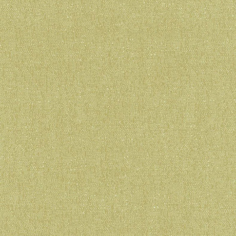 Schumacher Stone Texture Fern Fabric - Eade's Wallpaper