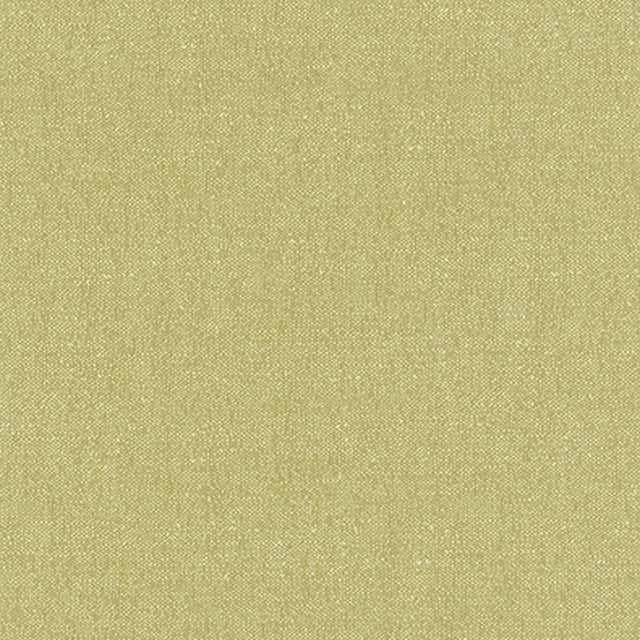 Schumacher Stone Texture Fern Fabric - Eade's Wallpaper