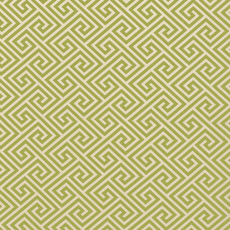 Schumacher St. Tropez Indoor/Outdoor Avocado Fabric - Eade's Wallpaper