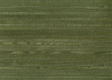 Kenneth James 63-54730 Mika Sage Grasscloth Wallpaper