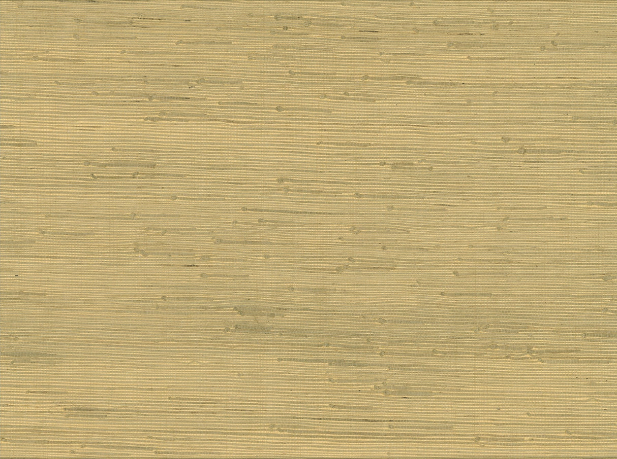 Kenneth James 63-54764 Shan Light Green Grasscloth Wallpaper