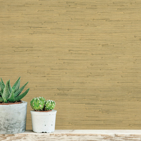 Kenneth James 63-54764 Shan Light Green Grasscloth Wallpaper