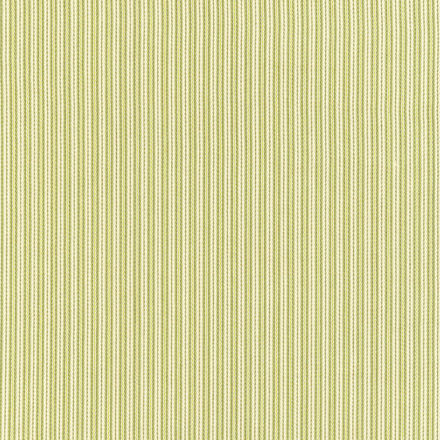 Schumacher 63001 BAKER COTTON STRIPE in IVORY /PEAR /SAGE Fa
