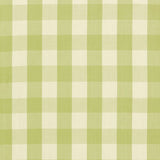 Schumacher Camden Cotton Check Sage Fabric