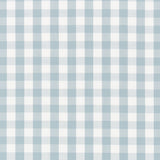 Schumacher Elton Cotton Check Sky Fabric