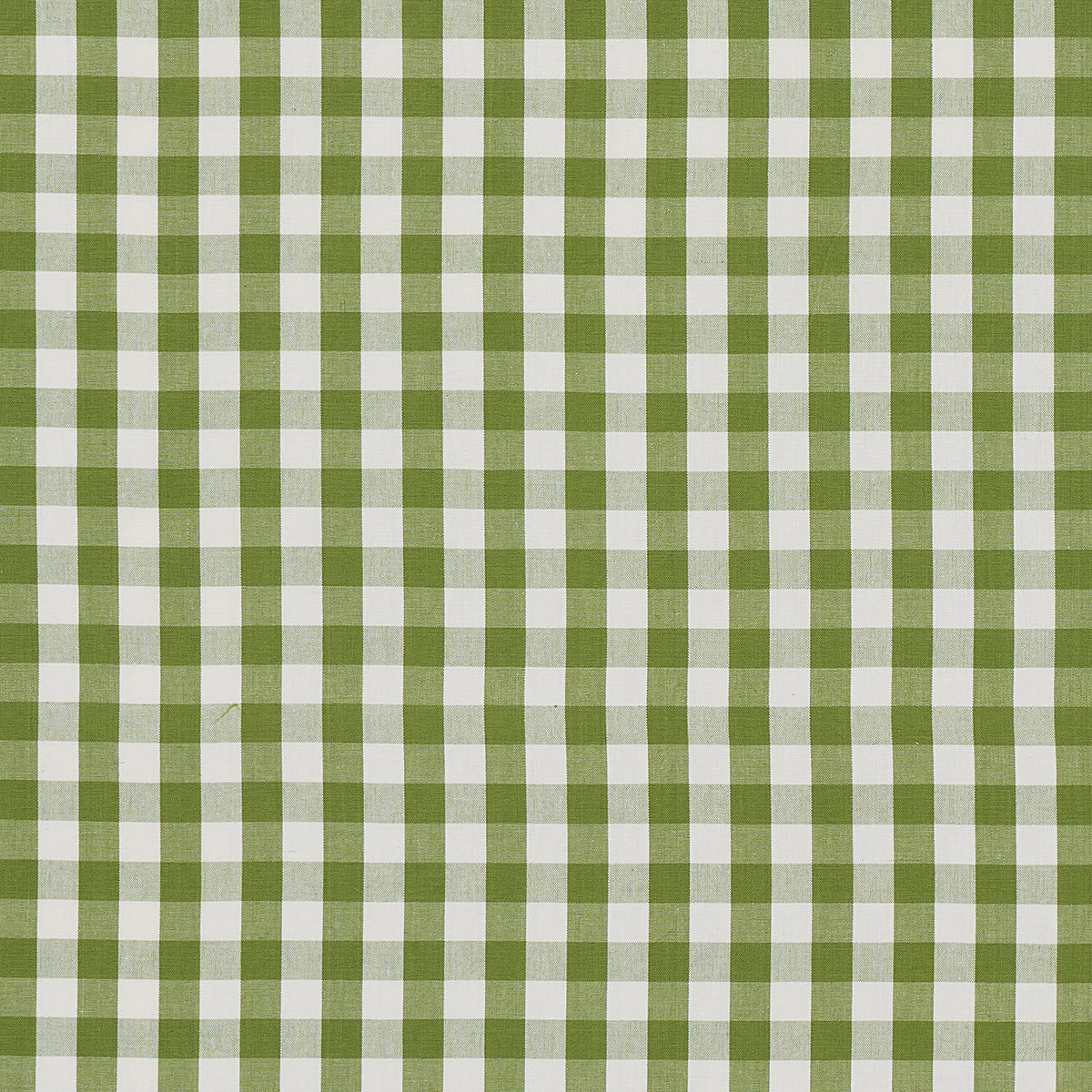 Schumacher Elton Cotton Check Leaf Fabric